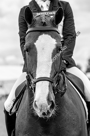 Horse Trials