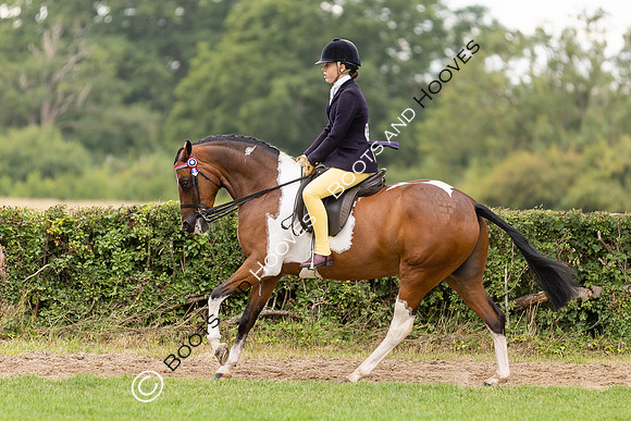The Royal International Horse Show