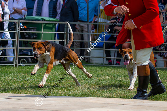 Festival of Hunting