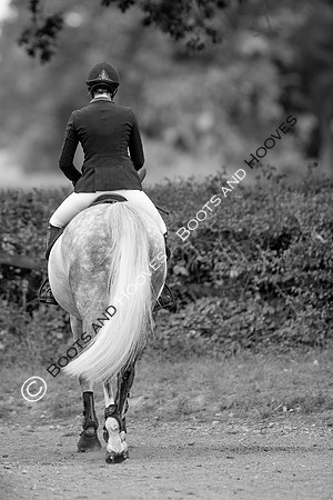 Science Supplements All England Jumping Championships