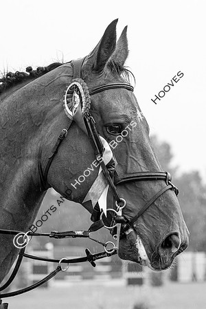 The Prenetics Royal International Horse Show