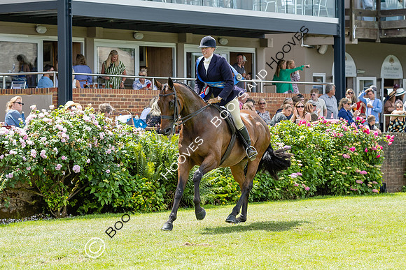 The Al Shira'aa Hickstead Derby Meeting
