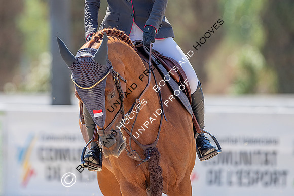 FEI Junior European Championship Young Riders, Juniors & Childre