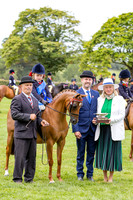 The Agria Royal International Horse Show