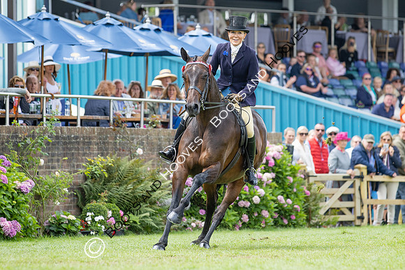 The Agria Royal International Horse Show