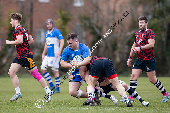 BSRFC v Royston