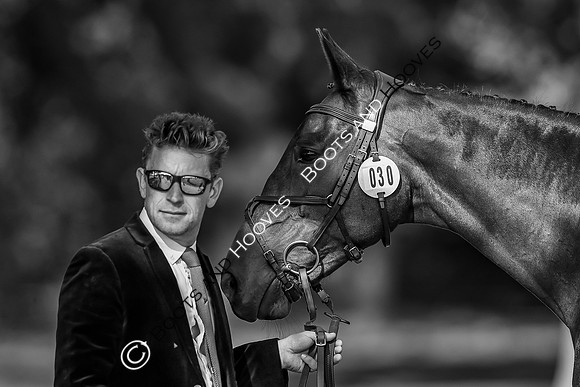 Blenheim Palace International Horse Trials