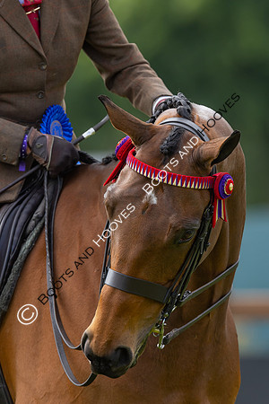 Royal Windsor Horse Show