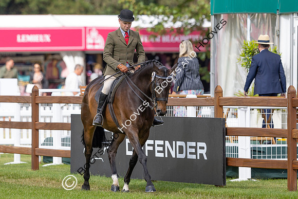 Royal Windsor Horse Show