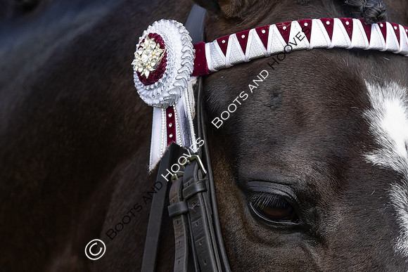 Royal Windsor Horse Show