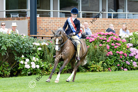 The Agria Royal International Horse Show