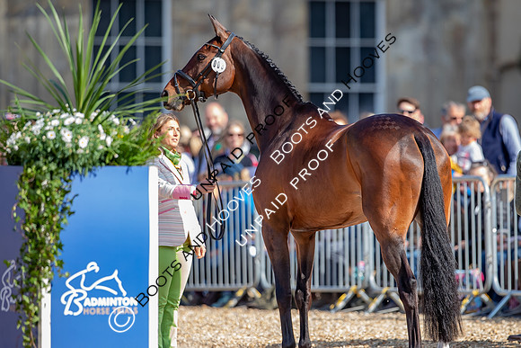 Badminton Horse Trials