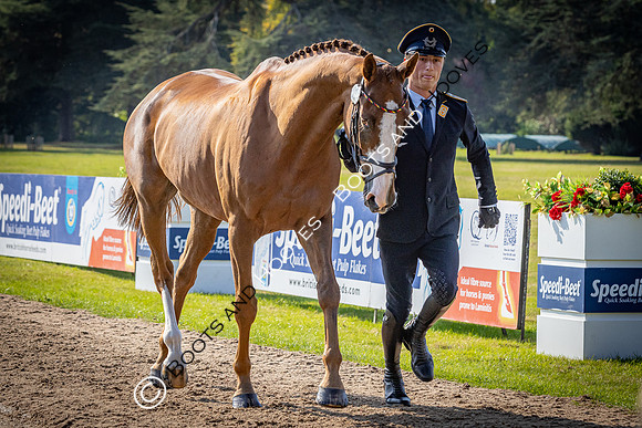 Blenheim Palace International Horse Trials