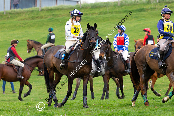Hunt Ride