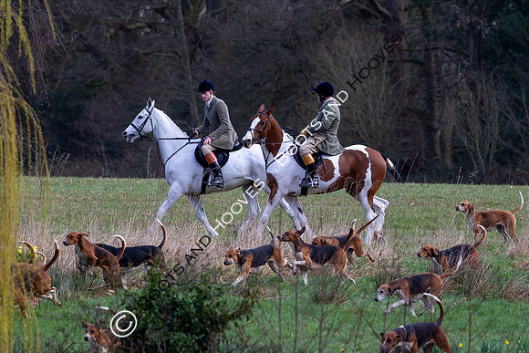 Hunting