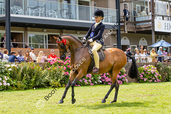 The Agria Royal International Horse Show