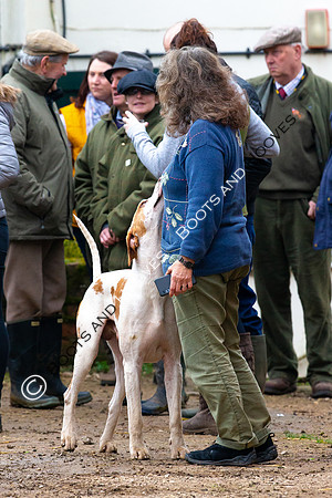 The Ledbury Hunt