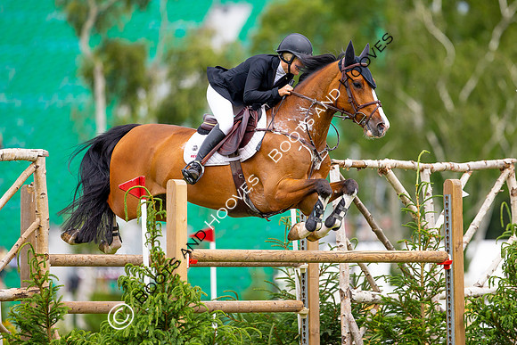 Showjumping