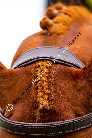 Horse Trials