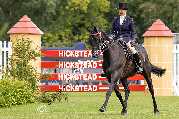 The Agria Royal International Horse Show