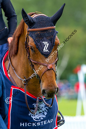 Showjumping
