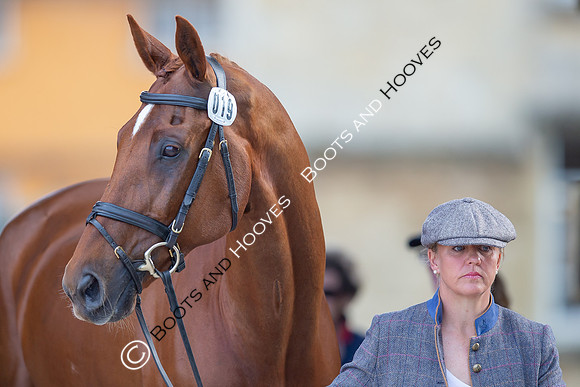 Badminton Horse Trials