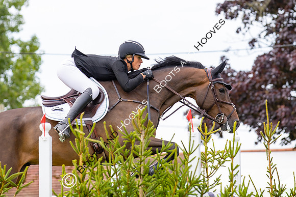 The Agria Royal International Horse Show