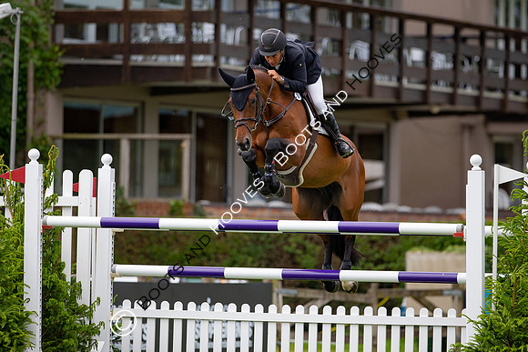 Showjumping