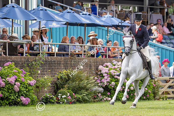 The Agria Royal International Horse Show