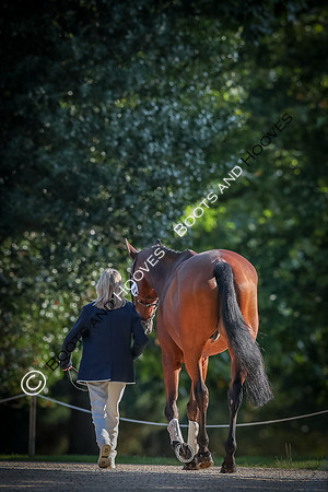 Blenheim Palace International Horse Trials