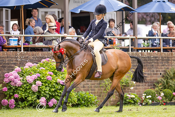 The Agria Royal International Horse Show