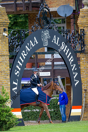 Showjumping