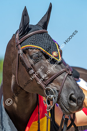 FEI Junior European Championship Young Riders, Juniors & Childre