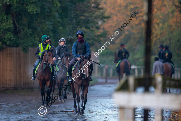 Newmarket