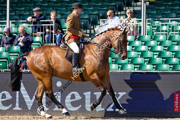 Royal Windsor Horse Show