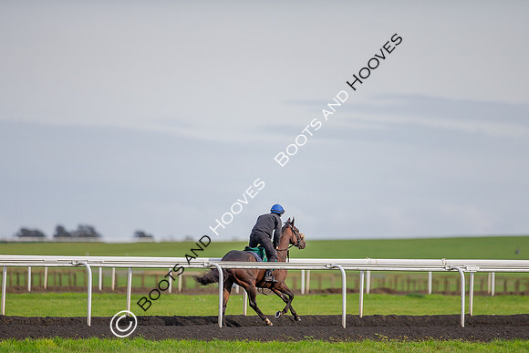 Newmarket