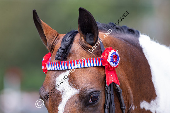The Prenetics Royal International Horse Show