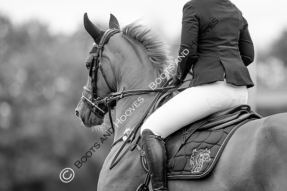 Science Supplements All England Jumping Championships