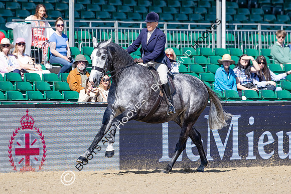 Royal Windsor Horse Show