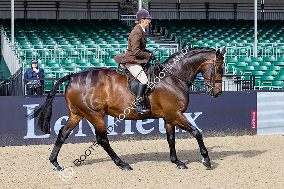 Royal Windsor Horse Show