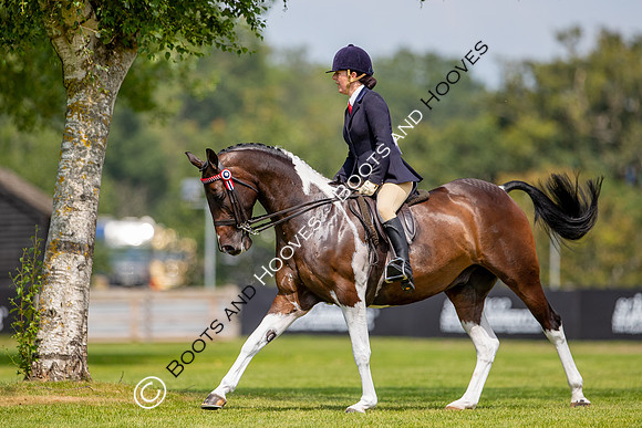 The Prenetics Royal International Horse Show