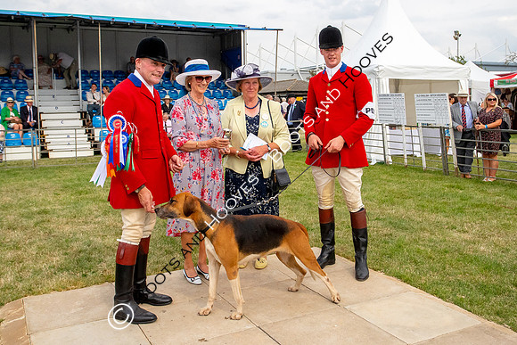 Festival of Hunting