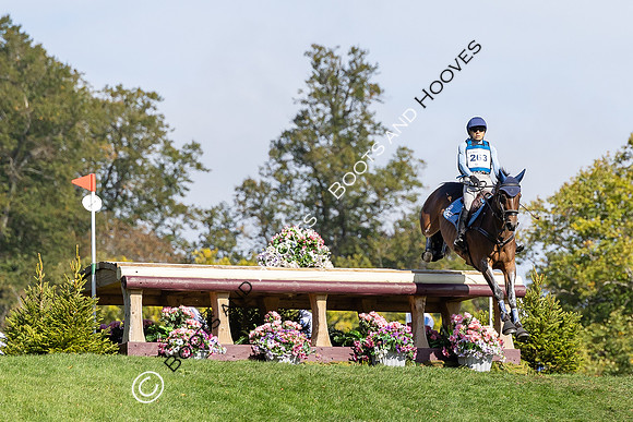 Agria Blenheim Palace International Horse Trials hosting the Agria FEI Eventing European Championship, Eventing, Blenheim Palace, Oxfordshire, UK - 21 Sep 2025