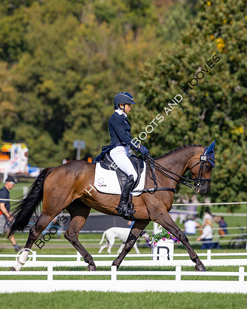 Agria Blenheim Palace International Horse Trials hosting the Agria FEI Eventing European Championship, Eventing, Blenheim Palace, Oxfordshire, UK - 19 Sep 2025