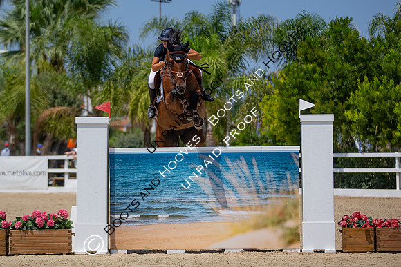 FEI Junior European Championship Young Riders, Juniors & Childre