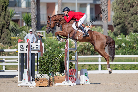 FEI Junior European Championship Young Riders, Juniors & Childre