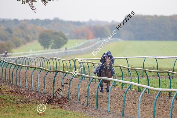 Newmarket