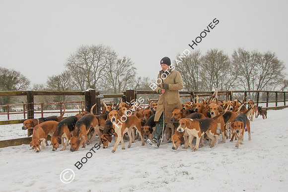 Hound Exercise