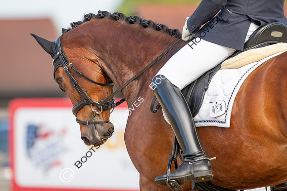 I.C.E Horseboxes All England Dressage Festival