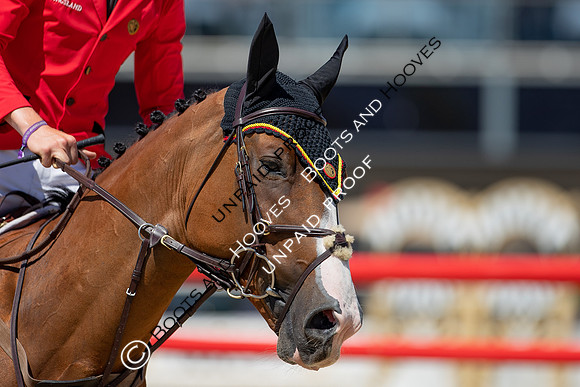 FEI Junior European Championship Young Riders, Juniors & Childre